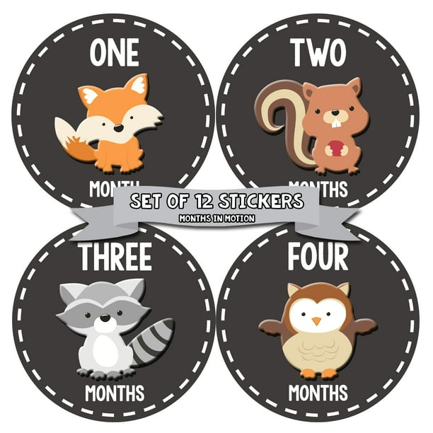 Monthly Baby Stickers Balloon cute Shower Gift Photo Prop milestone first Year Monthly Baby Stickers Balloon cute Shower Gift Photo Prop milestone first Year